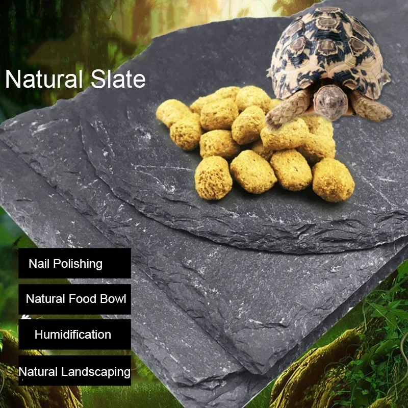 Aquarium Fish Price - Natural Slate Aquarium Pet Reptile Feeder