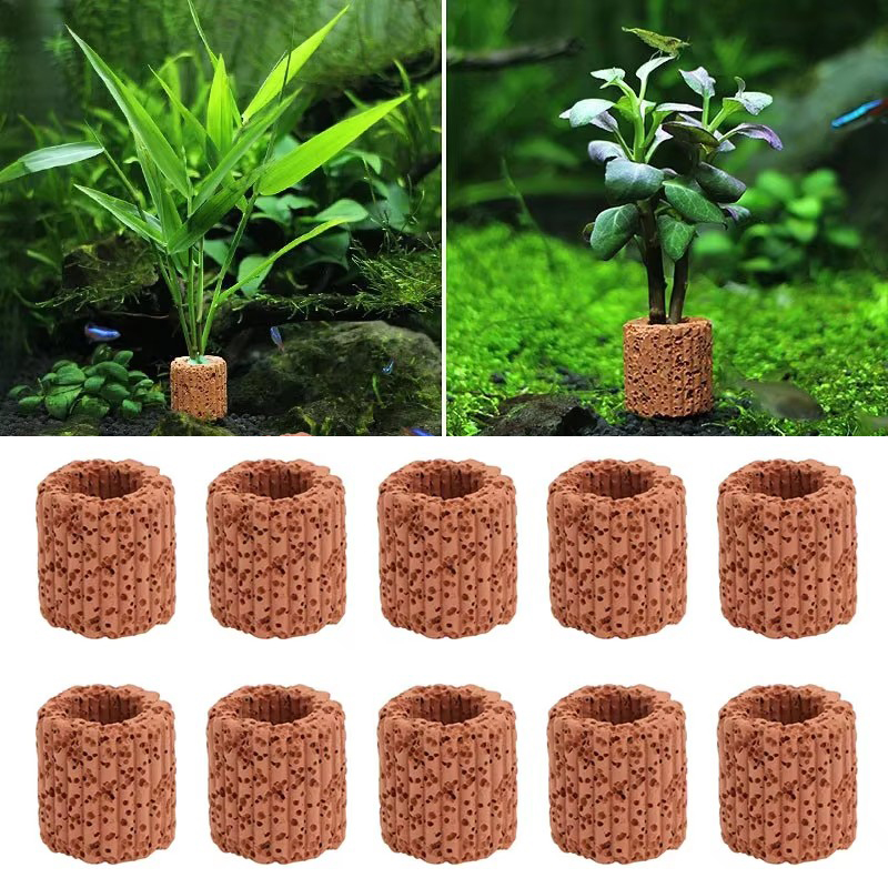 Aquarium Fish Cartoon - Aquatic Plant Fixed Ring for Aquarium