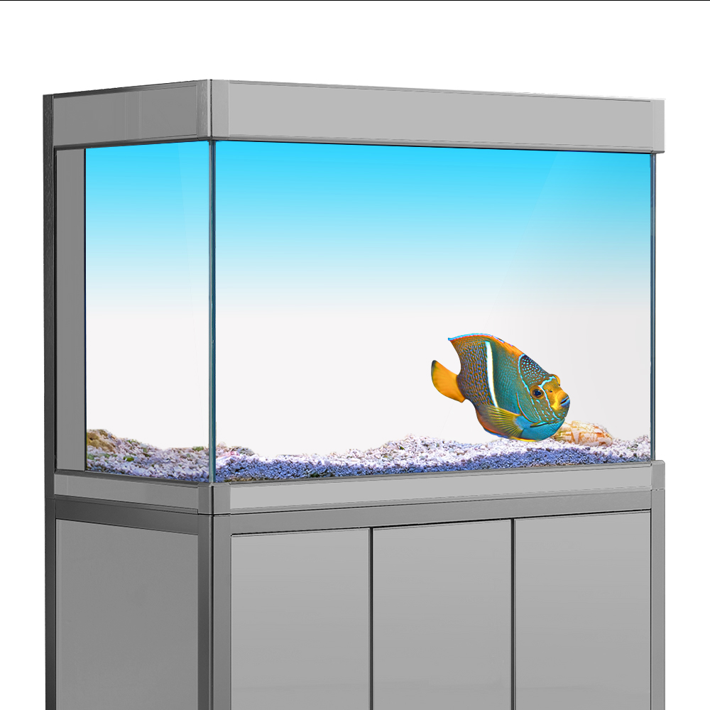 Aquarium Fish Yellow - Fish Tank Background Sticker White Yellow