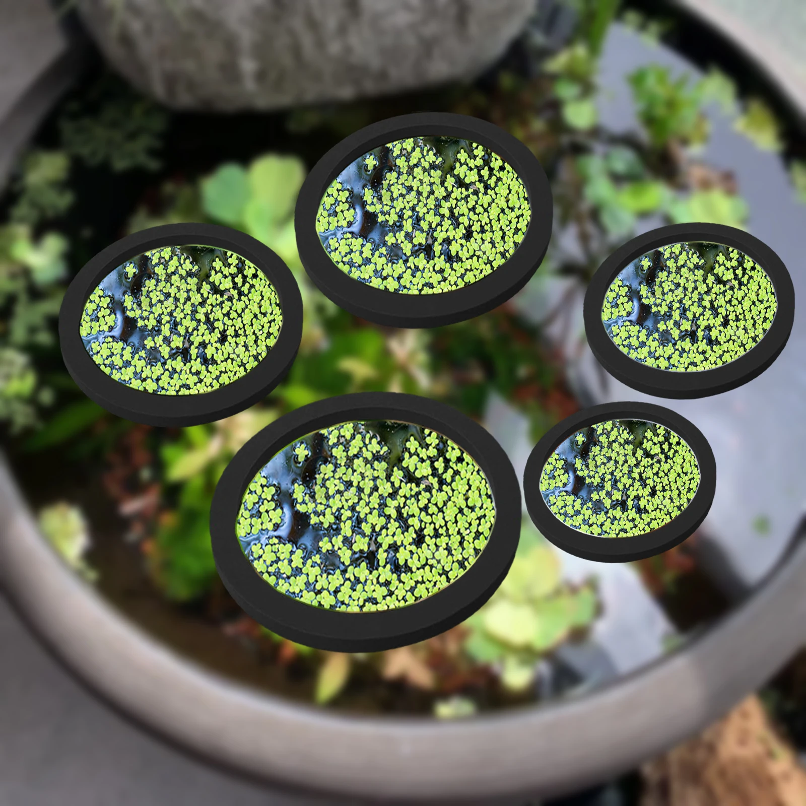 Aquarium Fish Land - 5Pcs EVA Fish Feeding Ring Aquarium