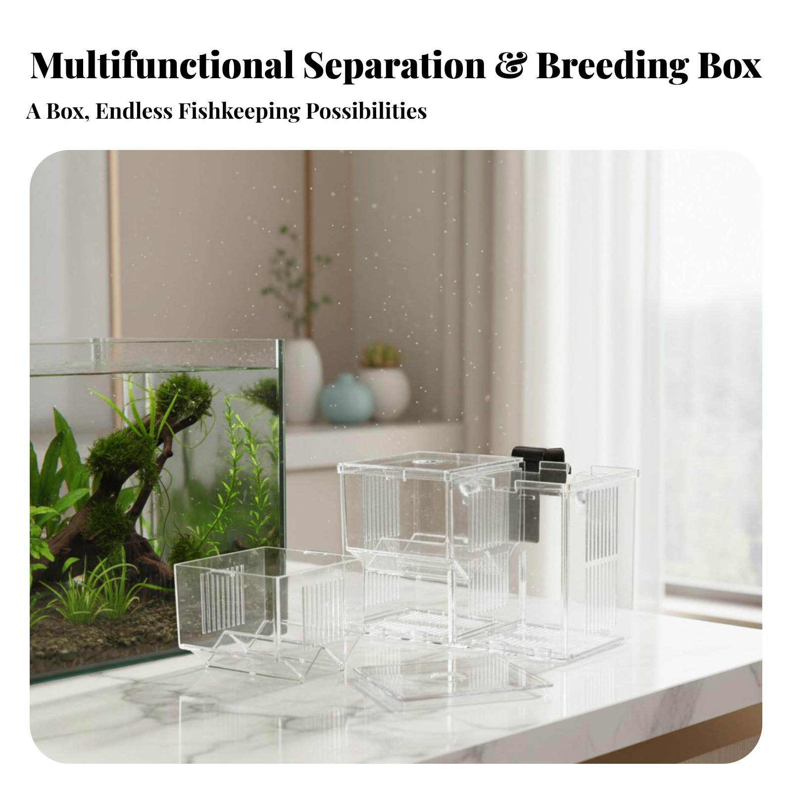 Aquatic Habitat Hatchery Box P - огляд і ціна Aquarium Fish Guppy