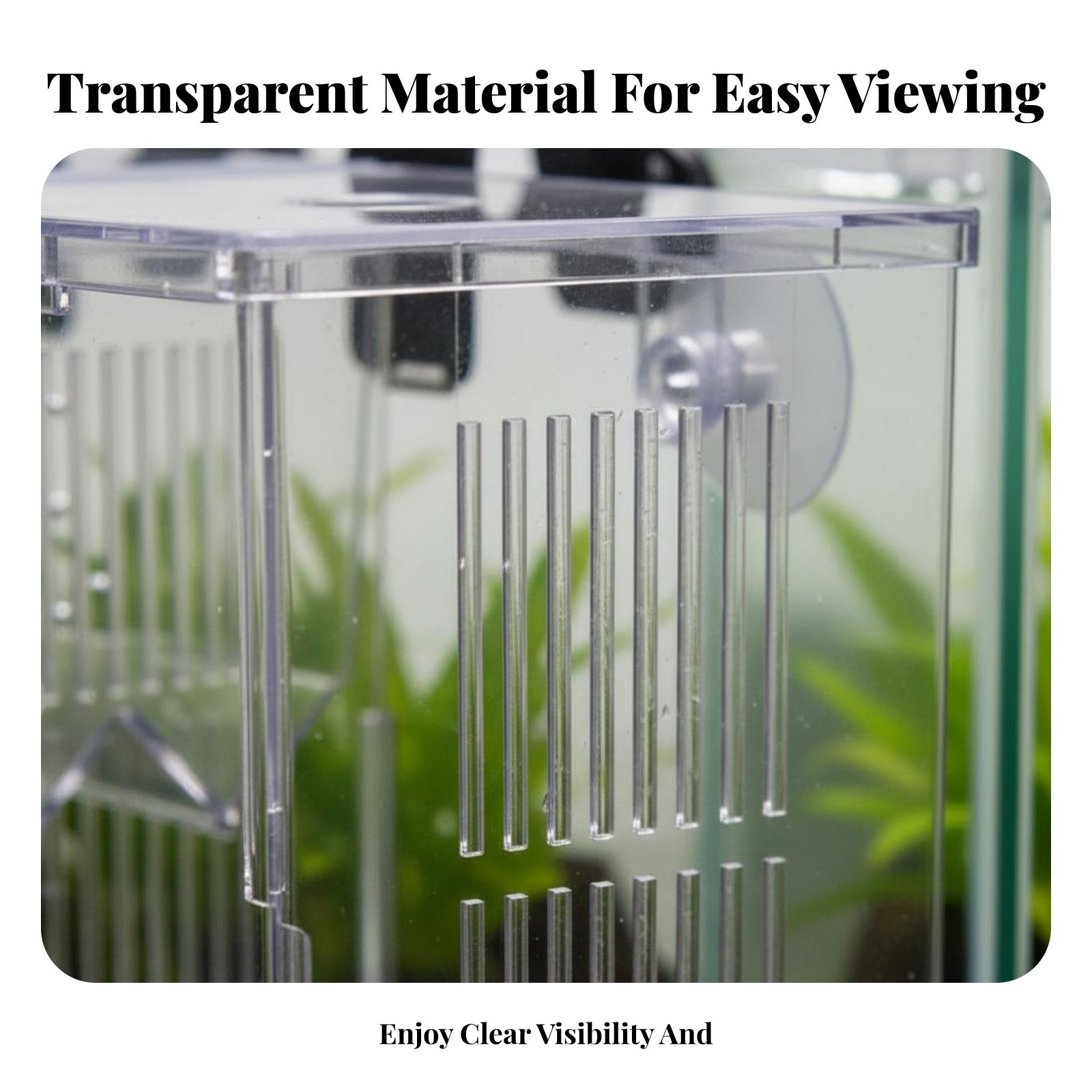 Aquatic Habitat Hatchery Box P - огляд і ціна Aquarium Fish Guppy