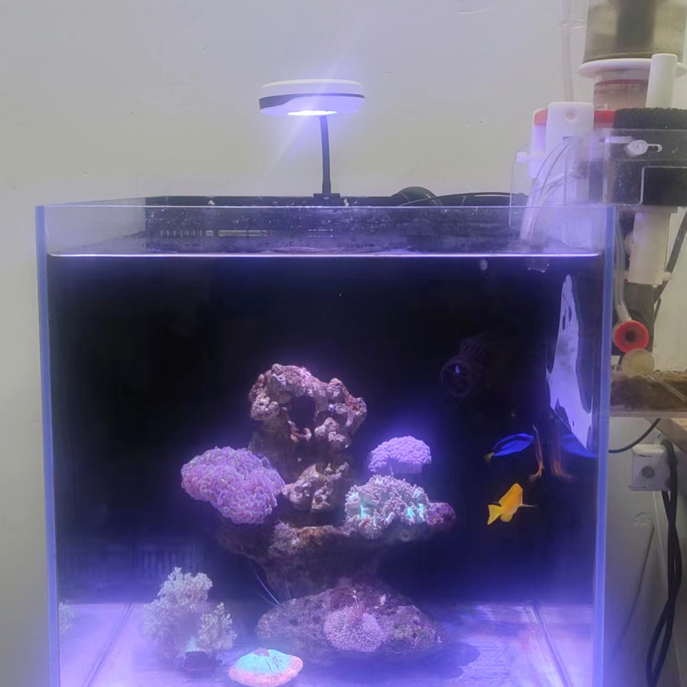 Spectra 20W Nano Clip ON Refug - огляд і ціна Refugium Light Nano