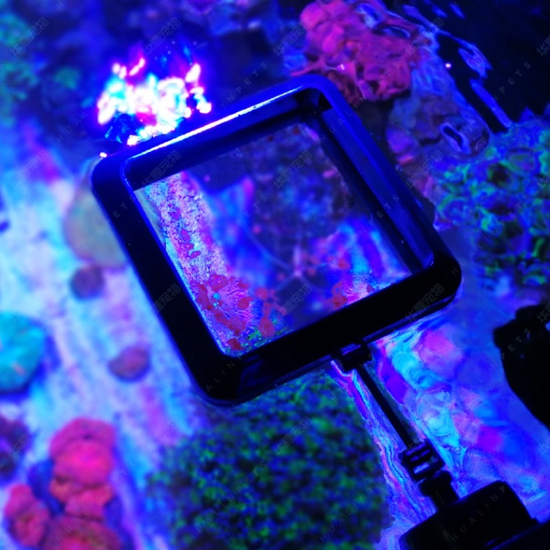 VASTOCEAN Magnetic Feeding Rin - огляд і ціна Aquarium Fish Price