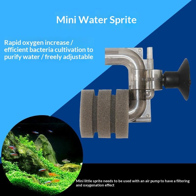 .Hot Sale-Mini Aquarium Sponge - огляд і ціна Aquarium Fish Price