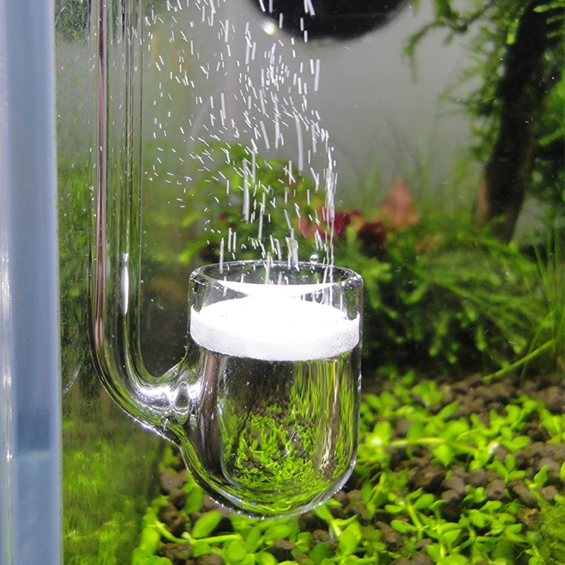 D0AD Glass CO2 Diffuser for Aq - огляд і ціна Co2 Diffuser Planted