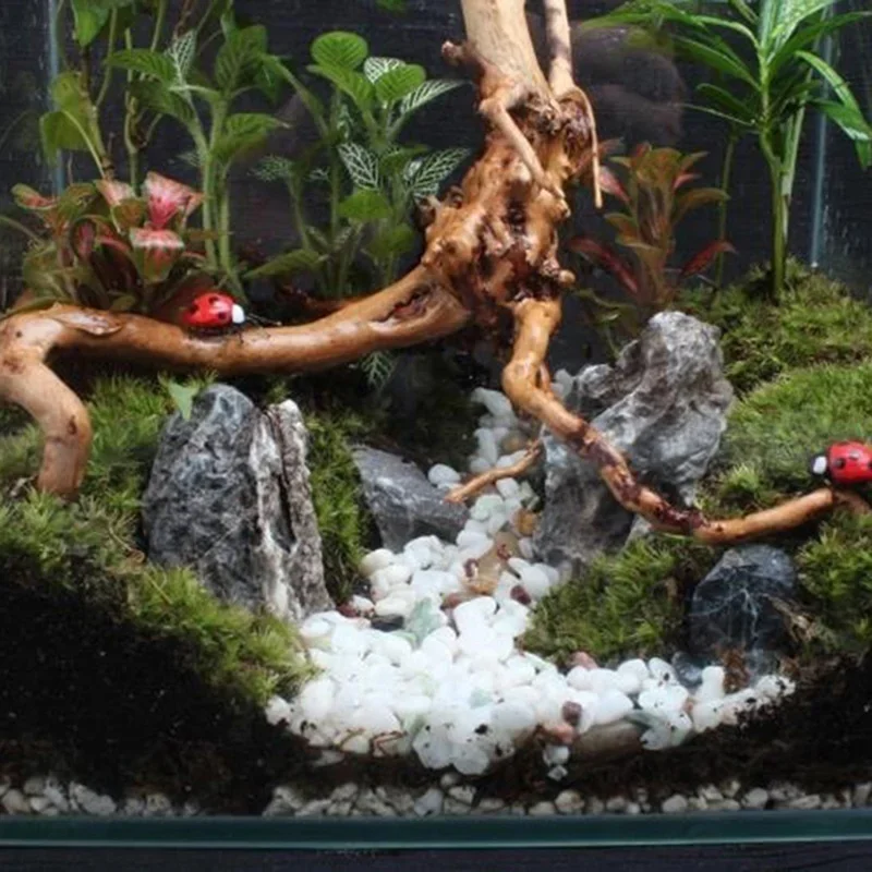 Natural Tree Trunk Driftwood A - огляд і ціна Aquarium Fish Cartoon