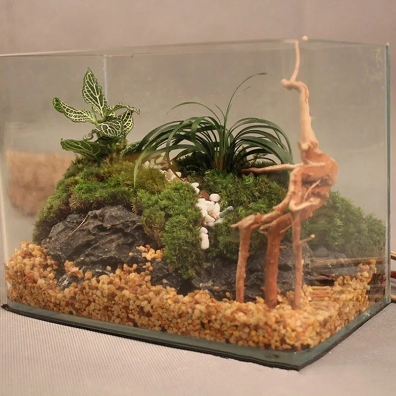 Natural Tree Trunk Driftwood A - огляд і ціна Aquarium Fish Cartoon