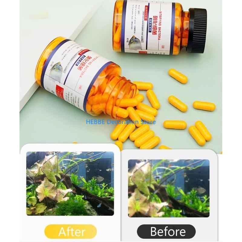 B0KC Nitrifying Capsules Estab - огляд і ціна Aquarium Fish Medicine