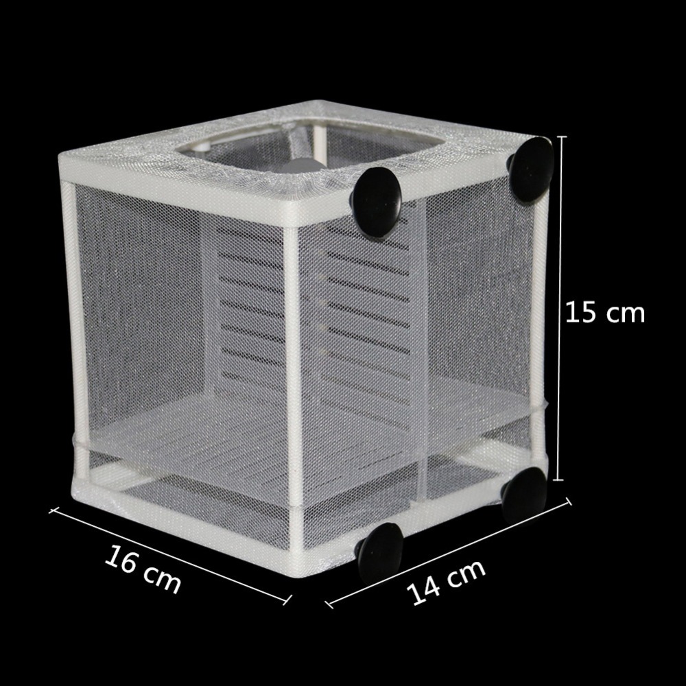1 Pcs Fish Breeding Incubator  - огляд і ціна Aquarium Fish Medicine