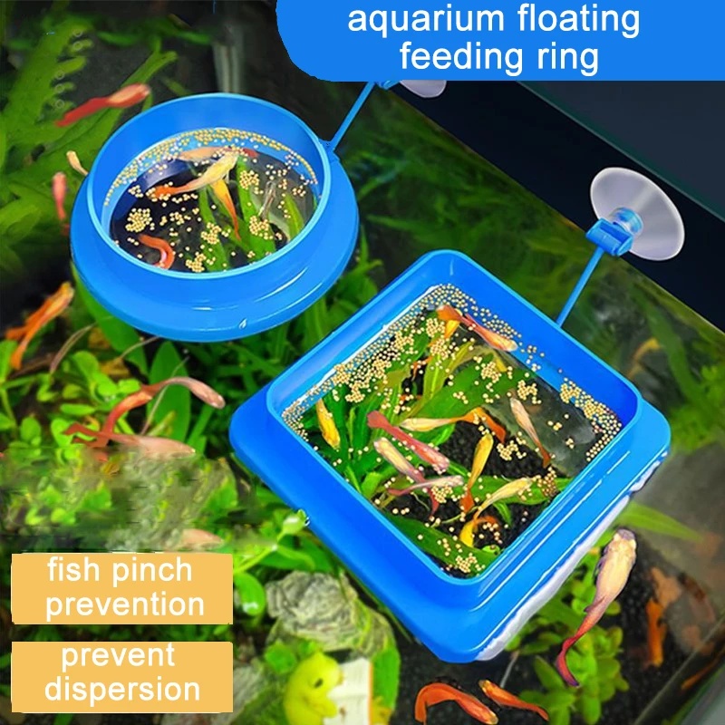 Floating Aquarium Fish Feeding - огляд і ціна Aquarium Fish Medicine
