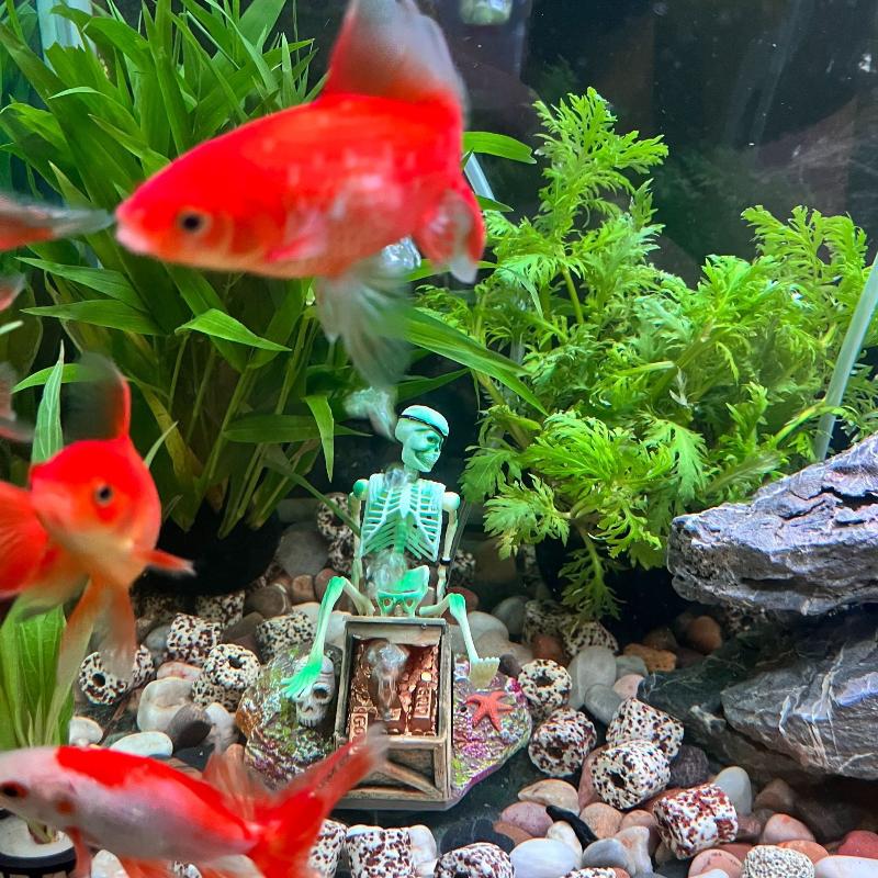 Fish Tank Aerobic Landscape Bu - огляд і ціна Aquarium Fish Cartoon