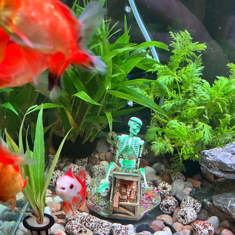 Fish Tank Aerobic Landscape Bu - огляд і ціна Aquarium Fish Cartoon