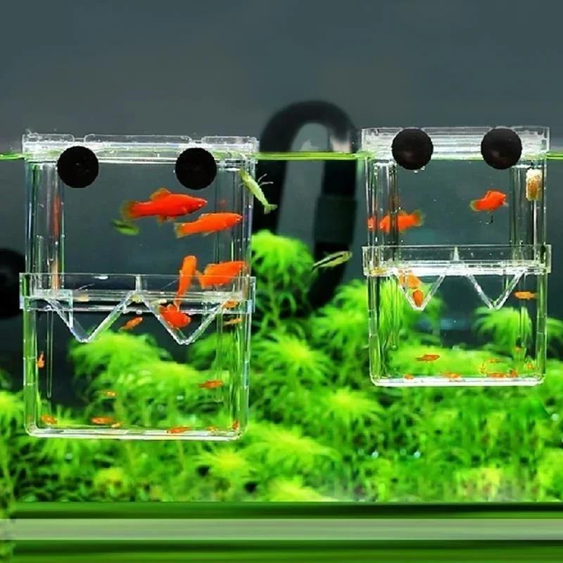 Transparent Fish Aquarium High - огляд і ціна Aquarium Fish Medicine