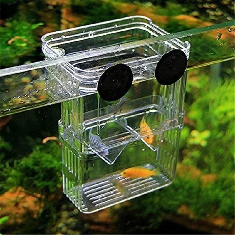 Transparent Fish Aquarium High - огляд і ціна Aquarium Fish Medicine