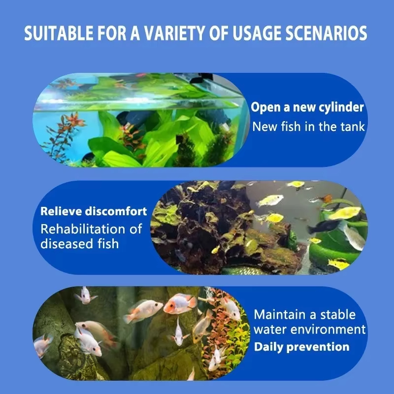 SIKEZHAN Fish Disease Treatmen - огляд і ціна Aquarium Fish Quality