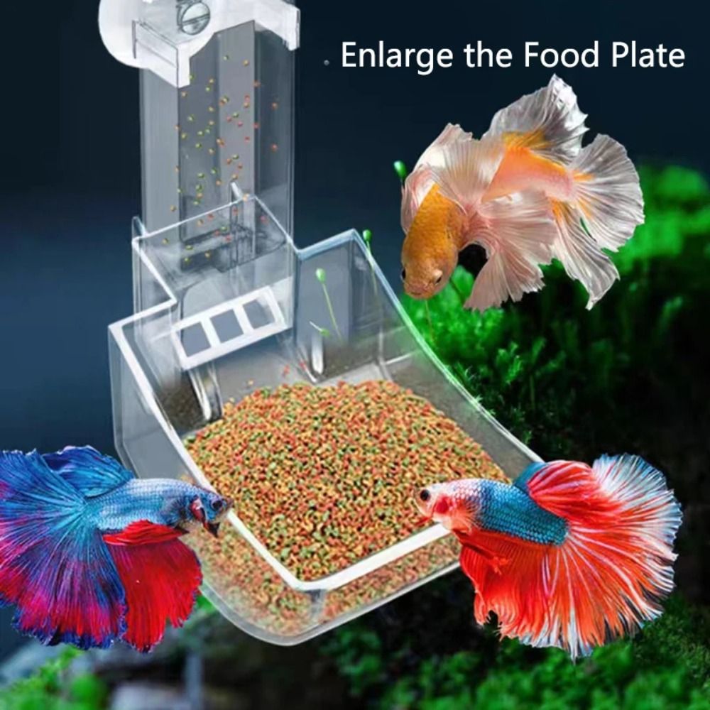 Transparent Aquarium Fish Tank - огляд і ціна Aquarium Fish Price