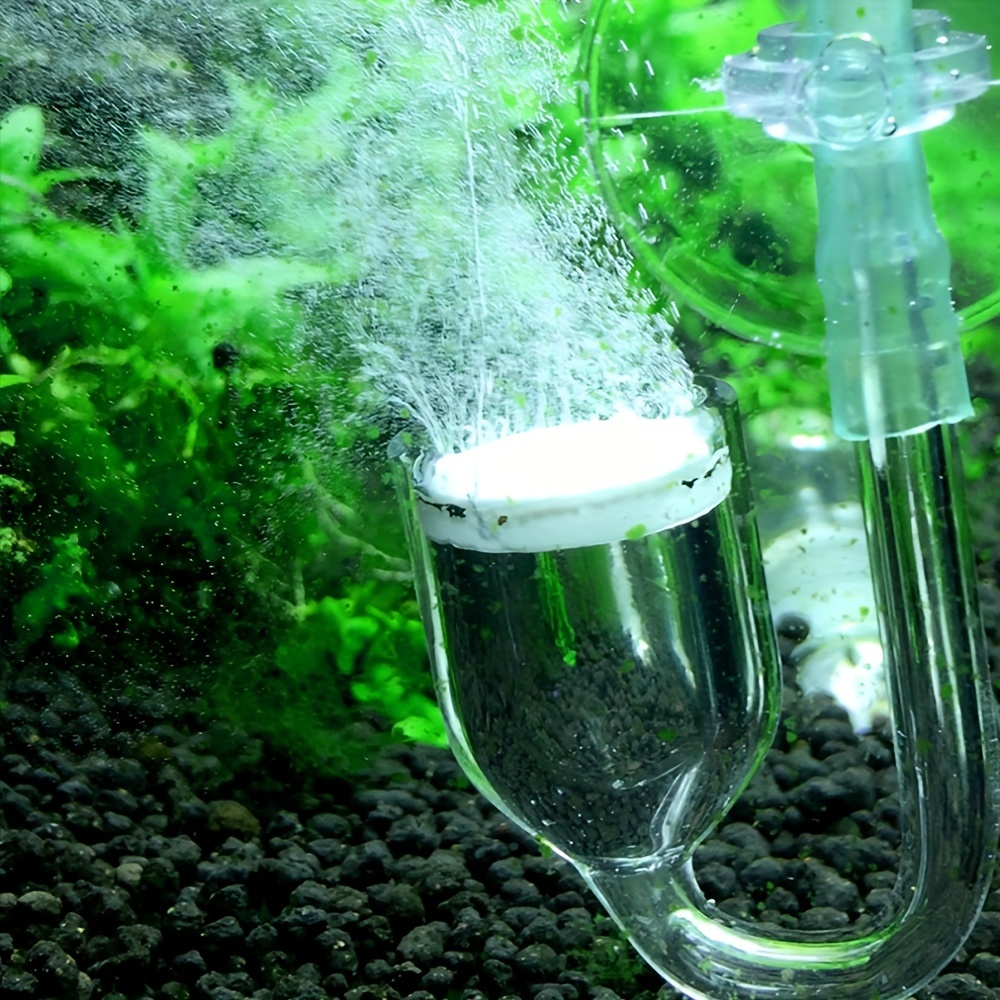 Aquarium Glass CO2 Atomizer Di - огляд і ціна Co2 Diffuser Planted