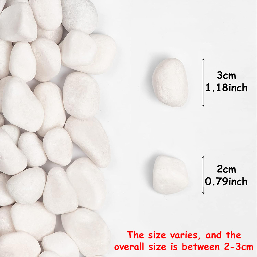200/400g White High Polished N - огляд і ціна Aquarium Fish Guppy