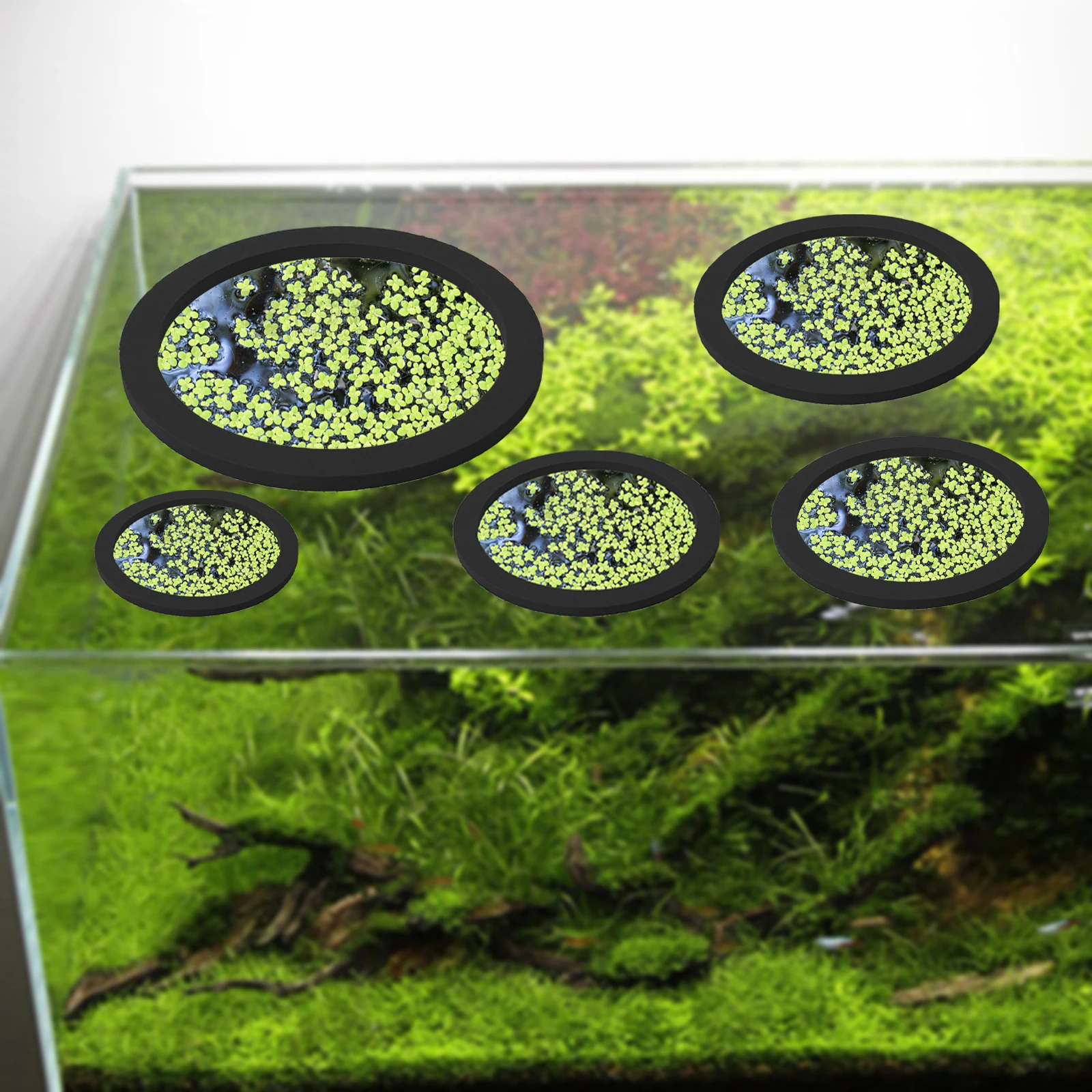 5Pcs EVA Fish Feeding Ring Aqu - огляд і ціна Aquarium Fish Land