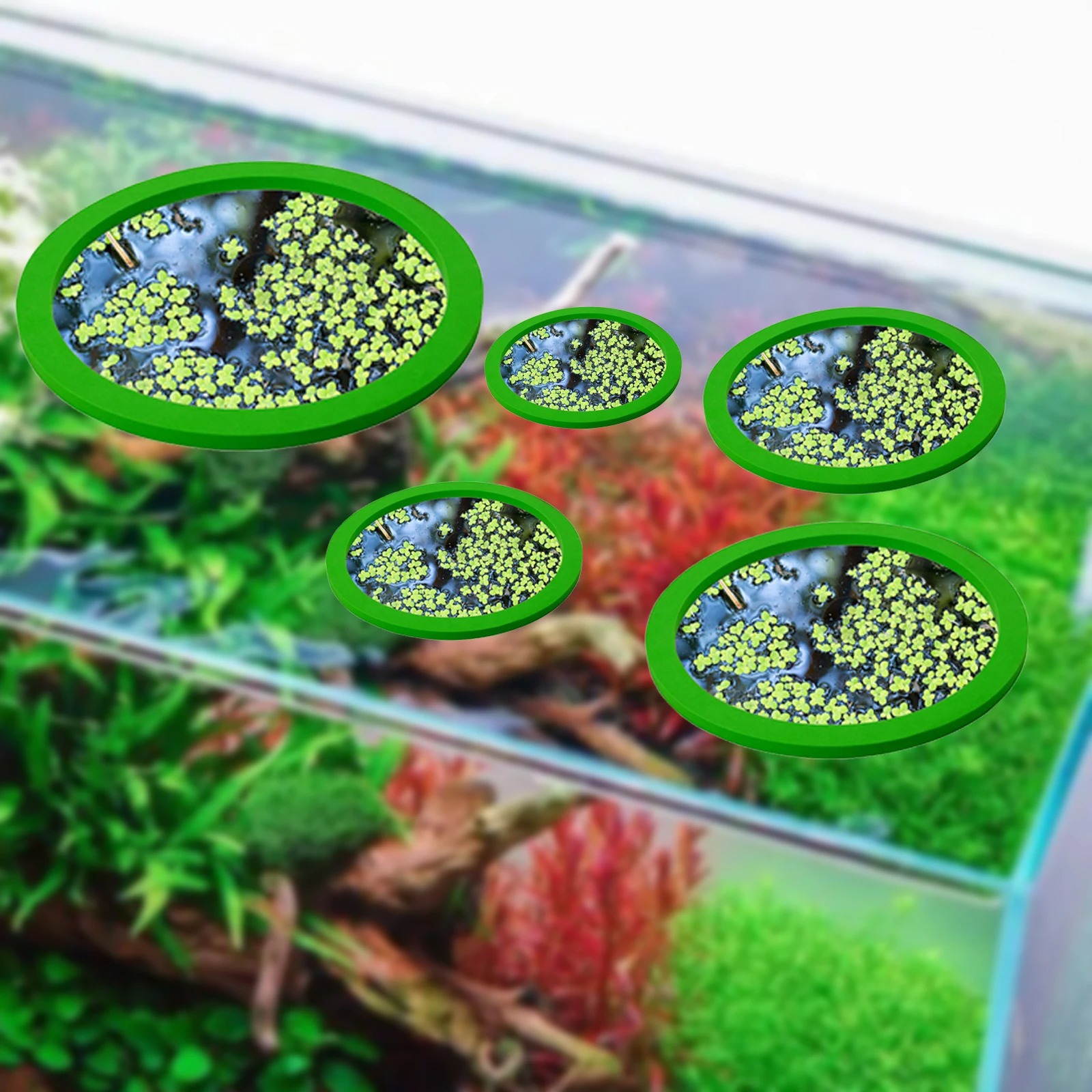 5Pcs EVA Fish Feeding Ring Aqu - огляд і ціна Aquarium Fish Land