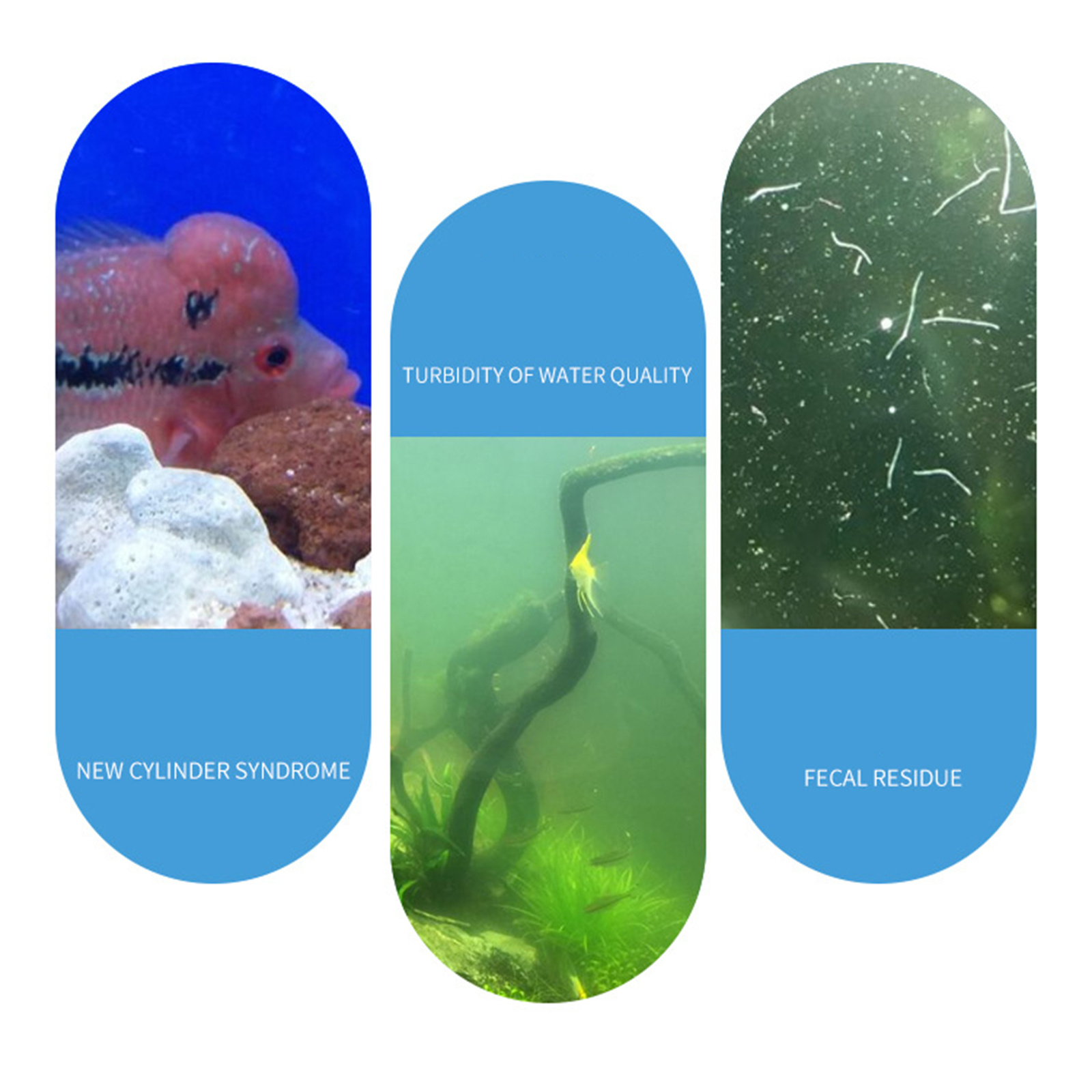 Aquarium Nitrifying Nitrobacte - огляд і ціна Aquarium Fish Medicine