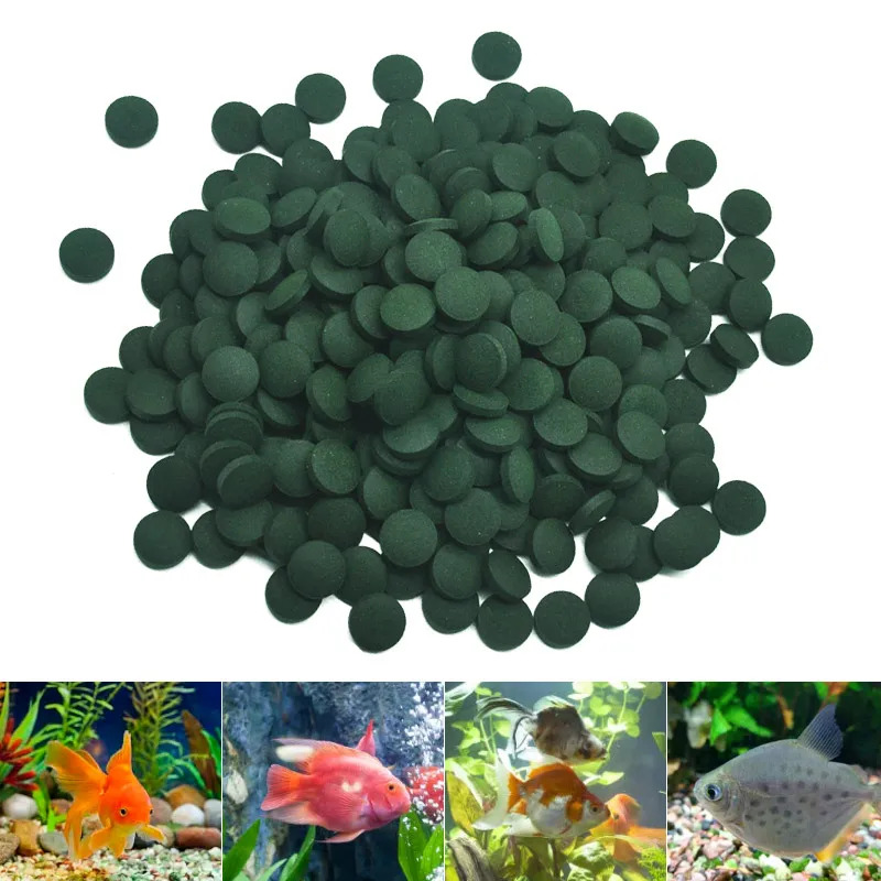 50-300Pcs High Purity Spirulin - огляд і ціна Aquarium Fish Price