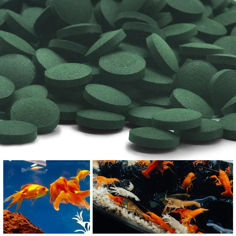 50-300Pcs High Purity Spirulin - огляд і ціна Aquarium Fish Price