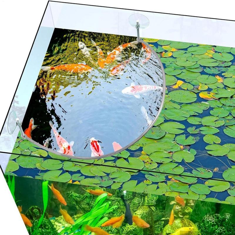 Floating Plant Corral Fish Fee - огляд і ціна Aquarium Fish Quality