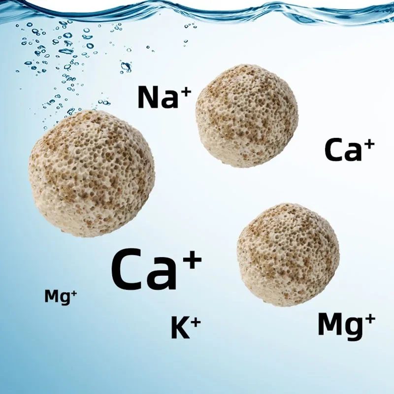 10pcs 20pcs High Quality  Aqua - огляд і ціна Aquarium Fish Quality