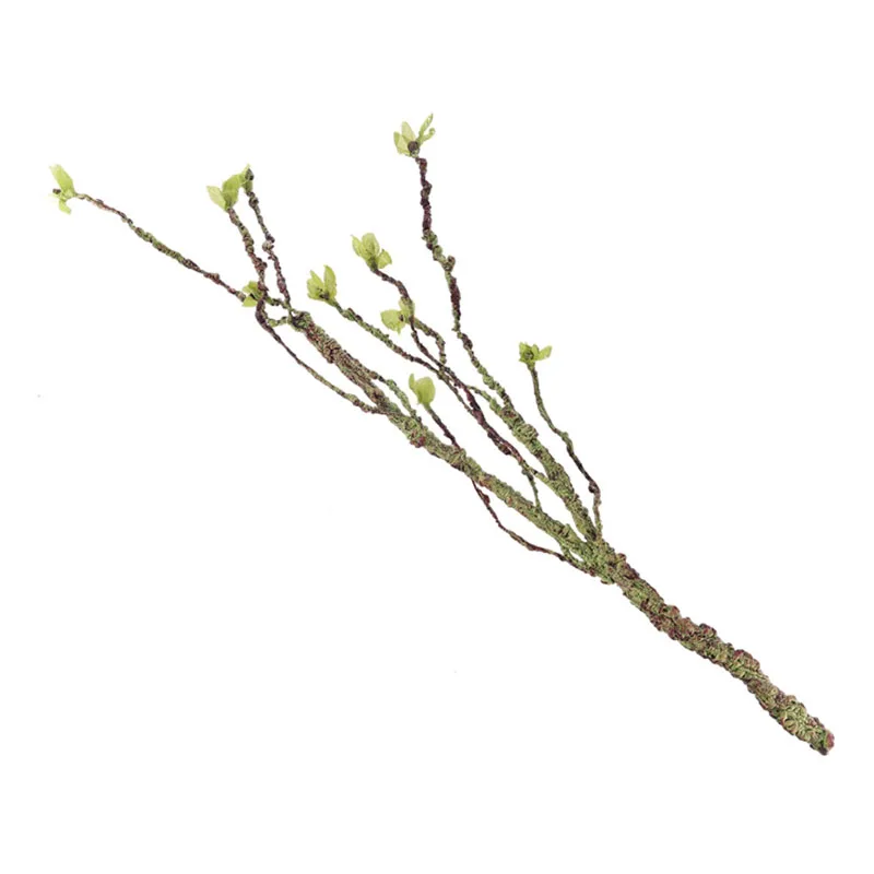 Vines Decor Climbing Branches  - огляд і ціна Aquarium Fish Cartoon