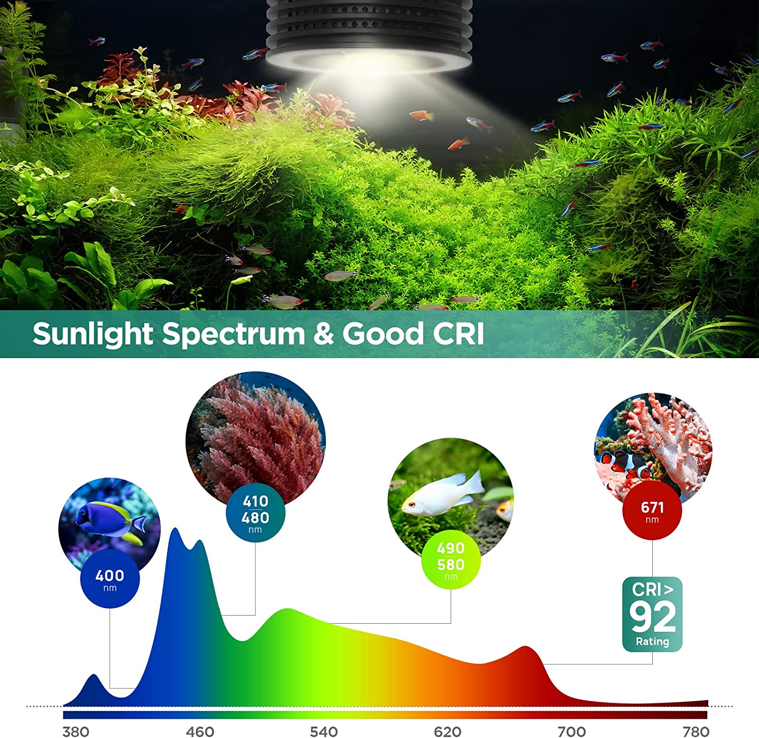 Lominie Asta 20 Freshwater 18W - огляд і ціна Refugium Light Nano