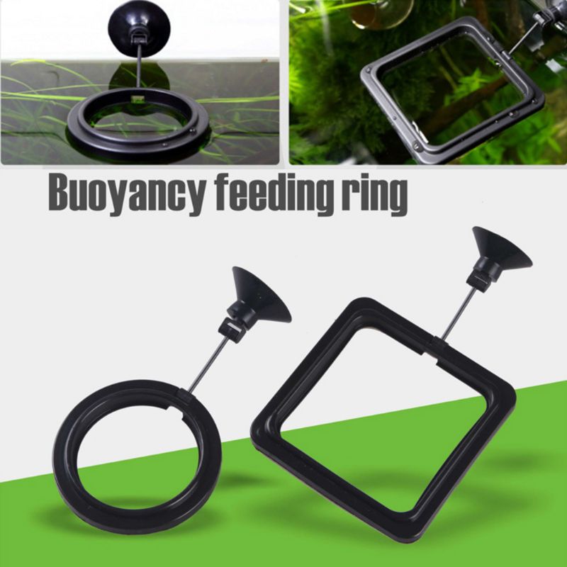 Aquarium Fish Feeding Ring Fis - огляд і ціна Aquarium Fish Medicine