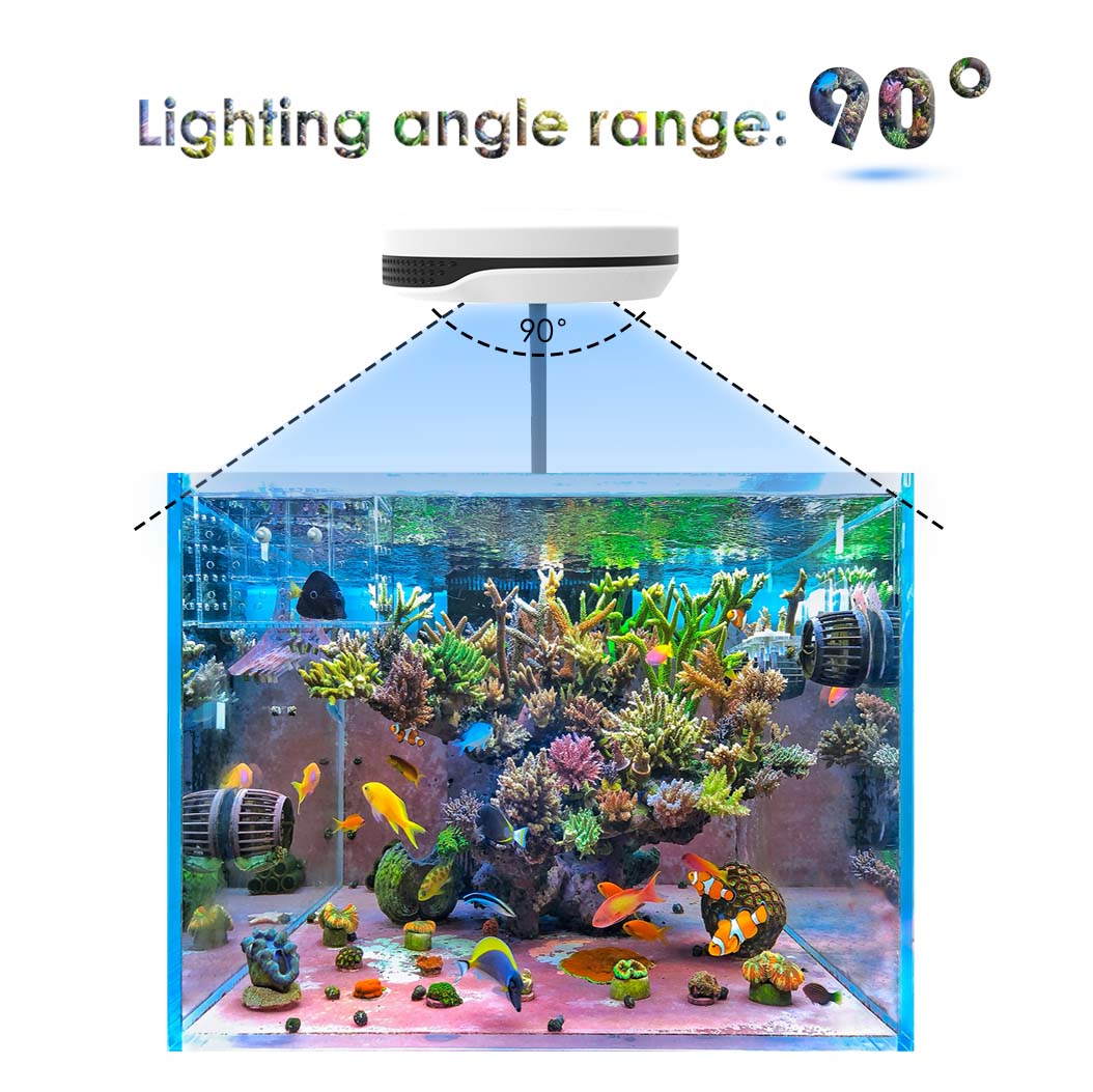 Clip on 20W LED Aquarium Light - огляд і ціна Refugium Light Nano